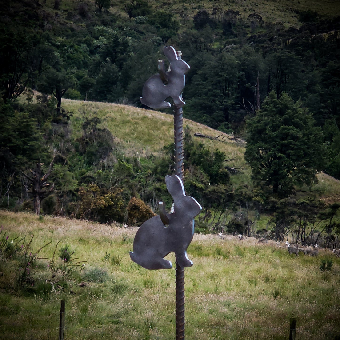 RIMFIRE PLATES - RABBIT