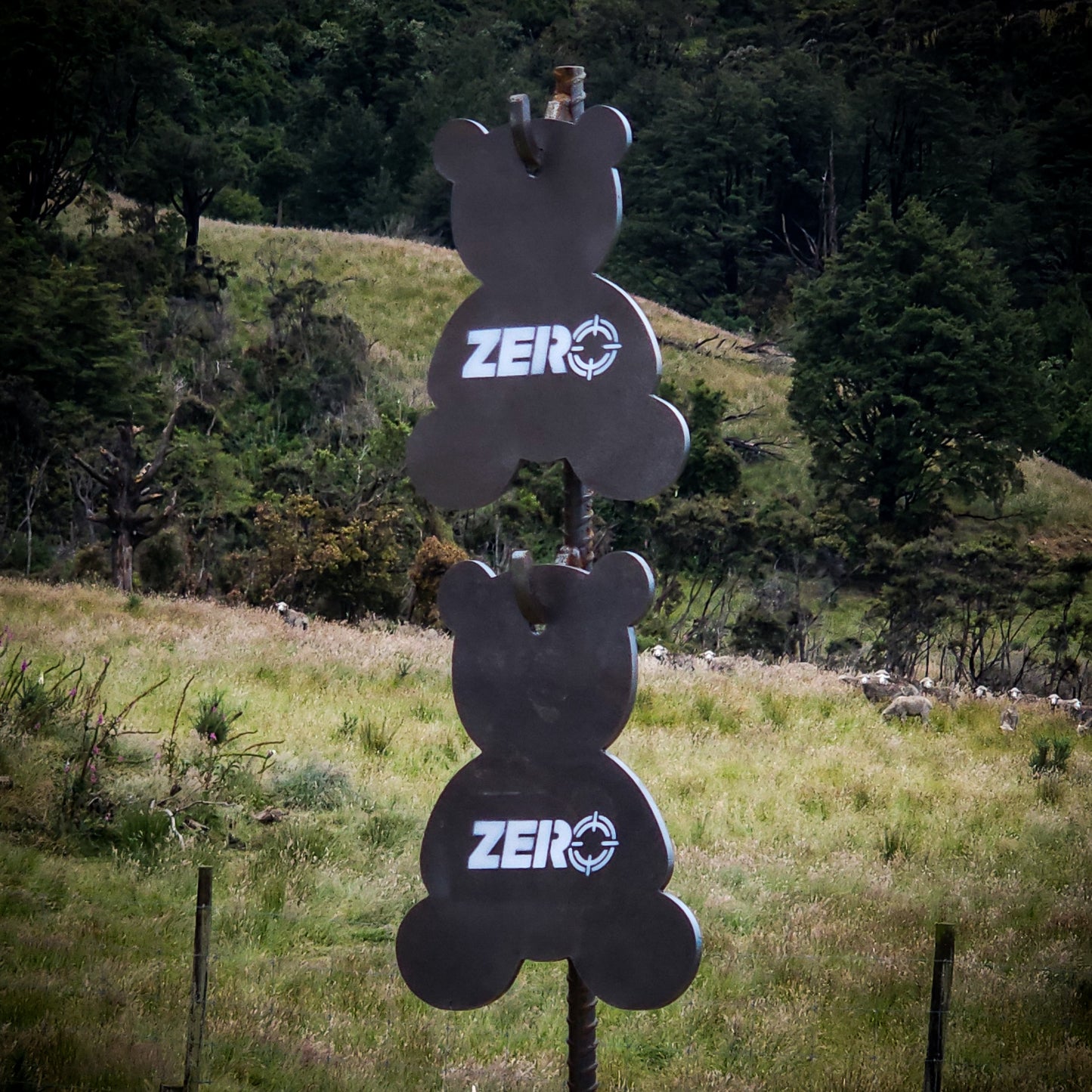 RIMFIRE PLATES - TEDDY