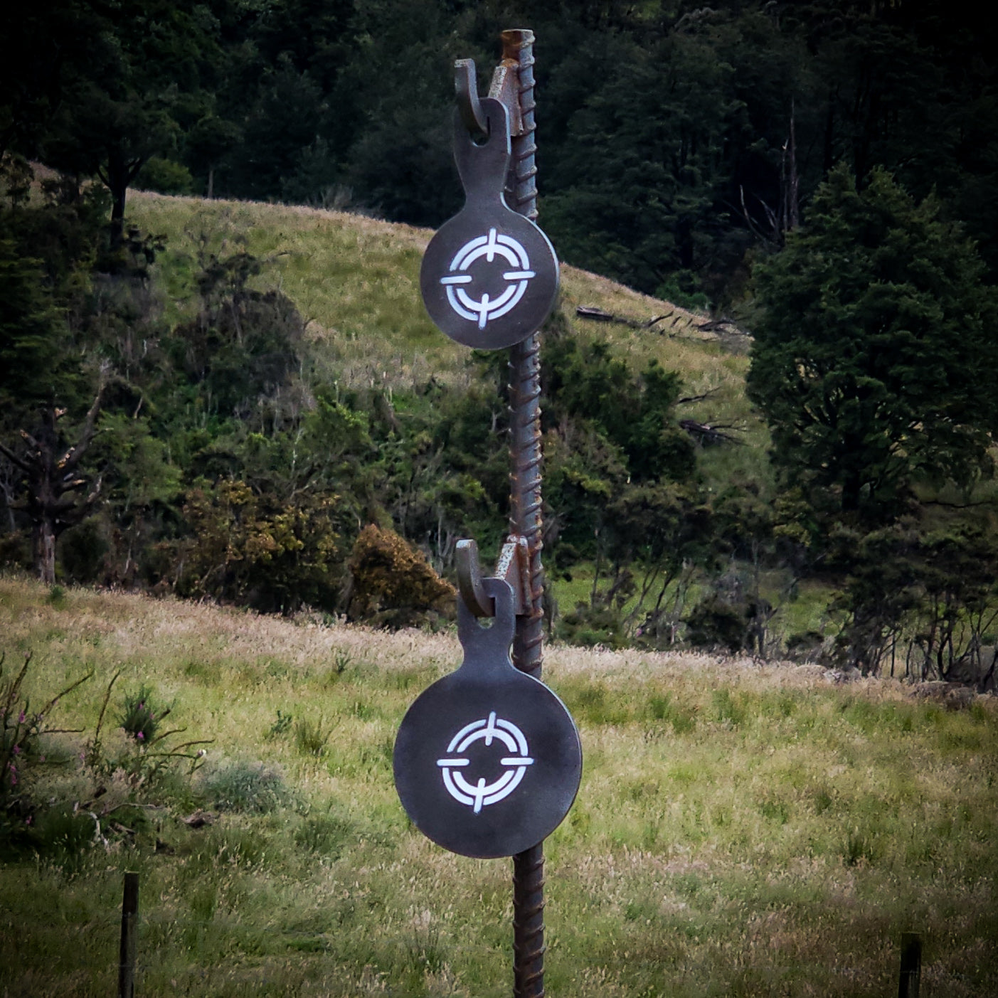 RIMFIRE ROUND PLATES