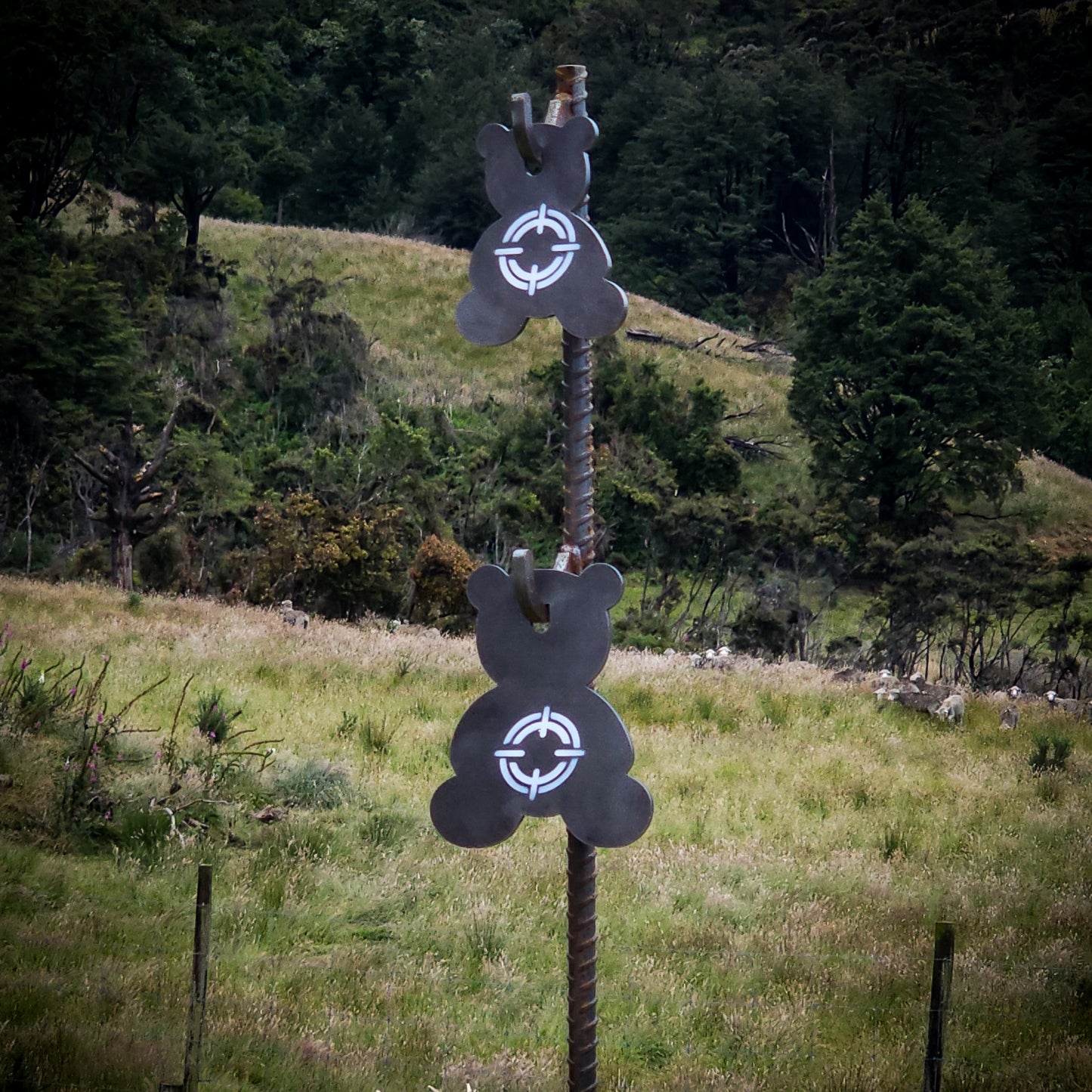 RIMFIRE PLATES - TEDDY